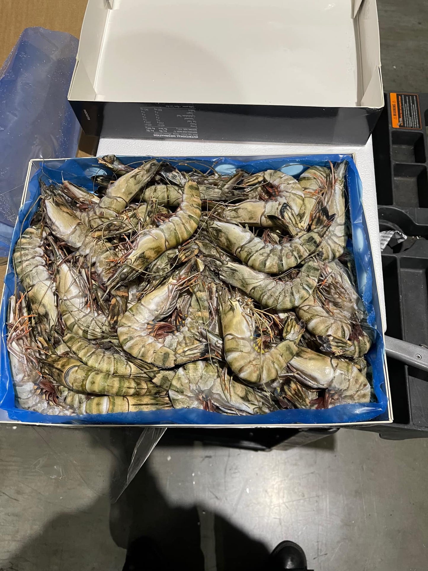 Tiger Prawns from Australia 3kg