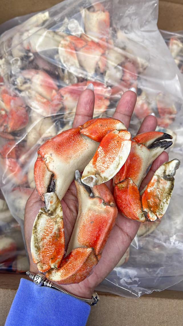 Stone Crab Claw and Arm